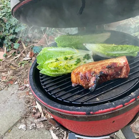 Kleine Tipi Texel * 't Horntje