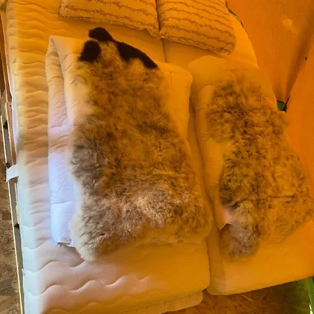 Kleine Tipi Texel Luxury tent 't Horntje