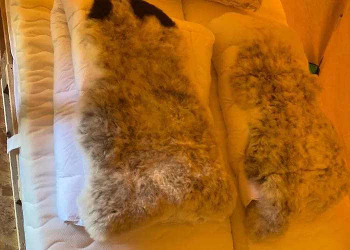 Kleine Tipi Texel Campismo de Luxo 't Horntje